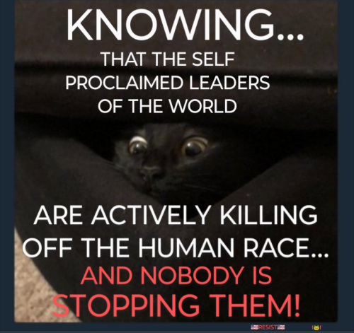 Screenshot_20250523-073743~4