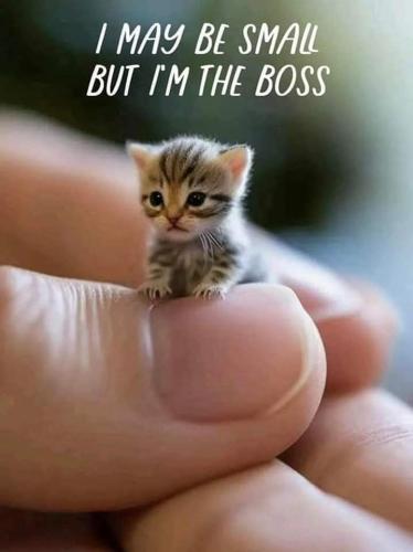 FB_IMG_1749327645252