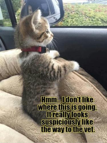 6bb59f23061c6b1583cc3e81d6ffaefe