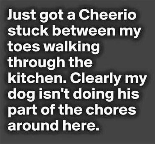 05dd44768f9ef9ce5103013871b63d3f