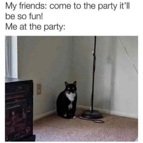 513935111_122217283904088259_198807218151706156_n