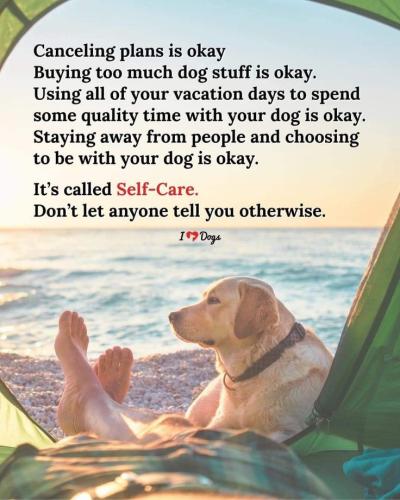 62fee42e18a4828d8fc5ebd97bc30897