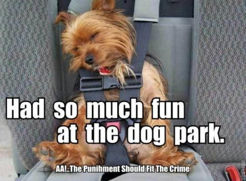 b621a7ef49b2b1b7120b3c5732cecdfb