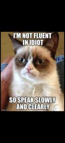 Screenshot_20250608_211140_Photos