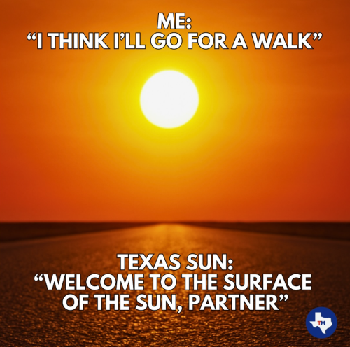 Screenshot 2025-06-12 131933