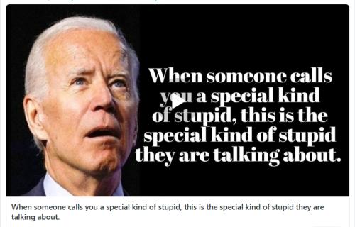 Special kind of stupid screenshot