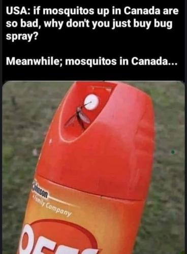 canadian misquitos