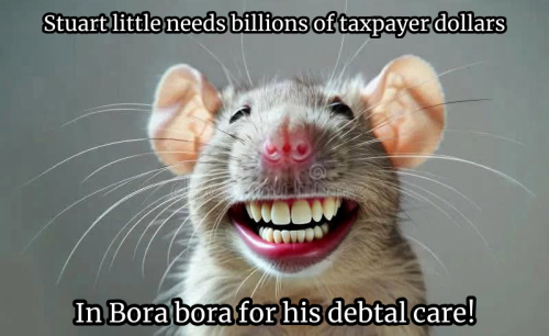 16B3176E-D91F-4978-8E85-0C8A57E55F4F