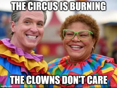 image_2025-06-09_061348579