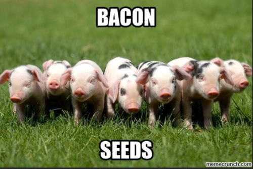 Screenshot 2025-06-16 174943