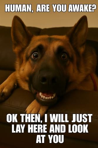 FB_IMG_1750452037199