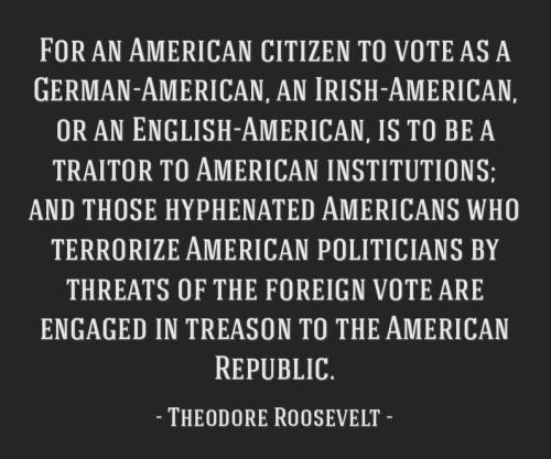 theodore-roosevelt-quote-lbu8d2v