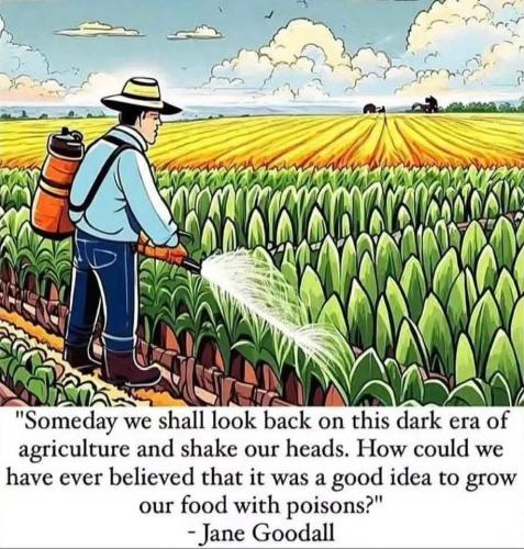 FB_IMG_1748769660728