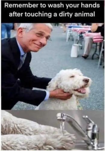 cd0ce3355230368f262103a9c0b5afd6