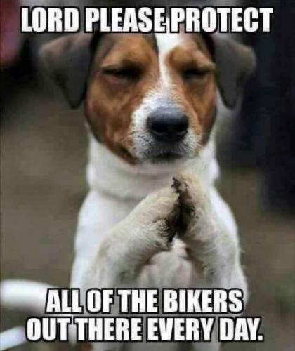 FB_IMG_1749830140473