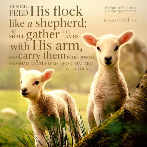 isa-40-11-KJV-pixabay