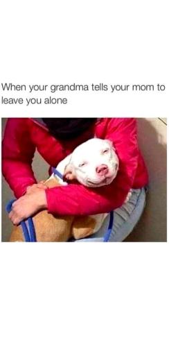 FB_IMG_1749646201260