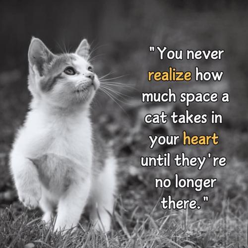 FB_IMG_1749394349485