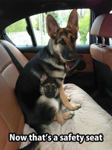 FB_IMG_1749689530797