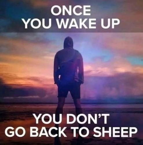 488994105_1218114996985093_3954463778798423475_n