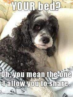 627665cf07cc08802d4c0bcd902a03df