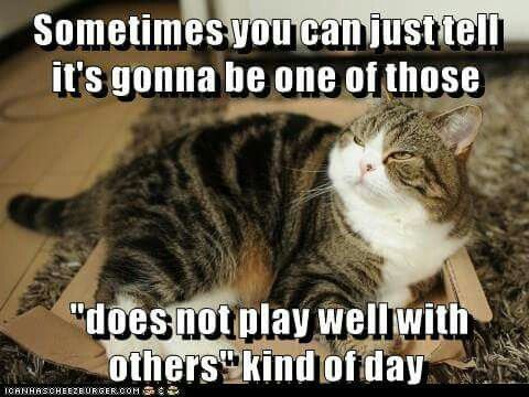 8be302c2ddf4b7937596abdfc5dc367e