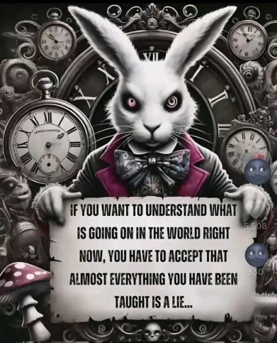 image_2025-06-30_061956894