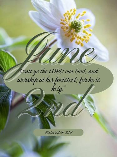 503703578_725452396655776_3310788979974220703_n