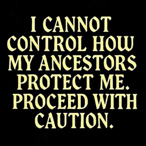 507953276_1252869263212431_3023940877723693984_n