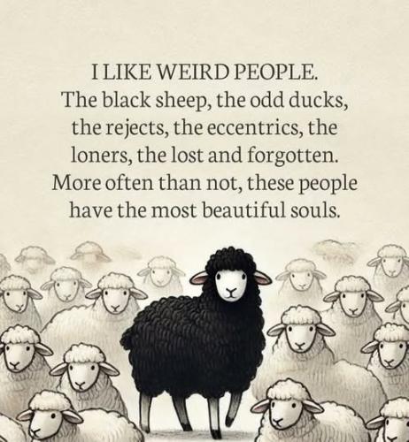 490094597_10229651785305195_1511406945912276441_n