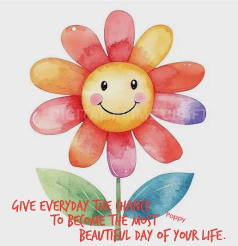 507948231_1273444764789635_8172130704405958894_n