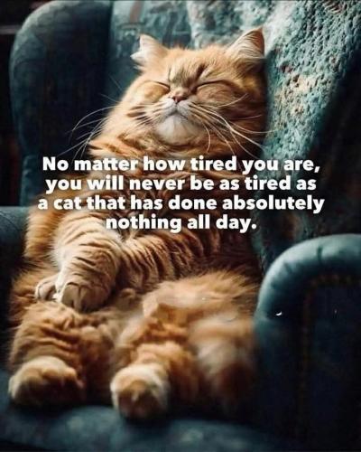 9338695461a605c4b2ed30f9f2e64155