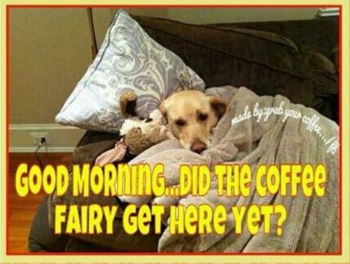 e4f6b6280a2a44e7e3e1bb109e4ddea2