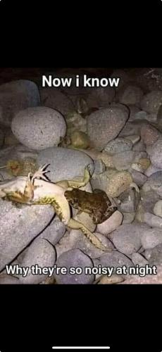 Screenshot 2025-06-01 at 9.43.30 PM