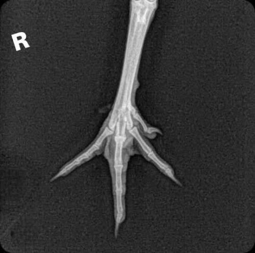 FB_IMG_1748906542299