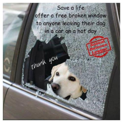 bfb8269371d126b8423204e8ed885023