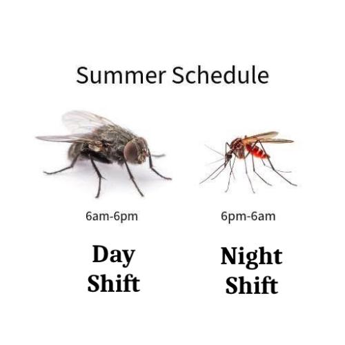 502864199_1127934406039783_3418685256814471170_n