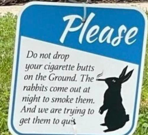 Smoking rabbits