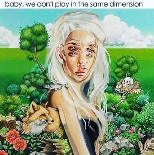 500064897_729970219919173_5905729448546502192_n