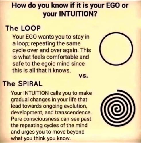 490297999_4120441774948883_8939097992206673479_n