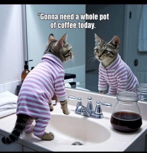 FB_IMG_1750540332920