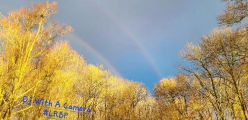 Screenshot_20250626_082249_Gallery