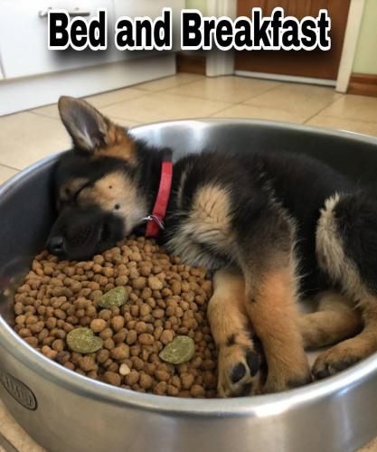 FB_IMG_1749394713696