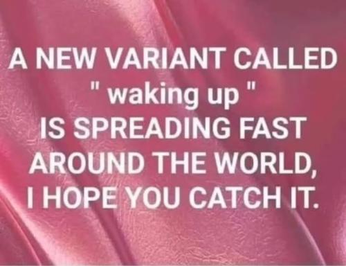 489684009_674419912140871_8921456060013722589_n