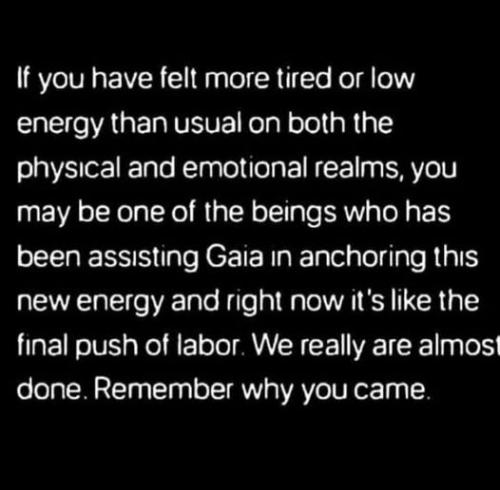 493931280_733098356273026_6446548619380548894_n