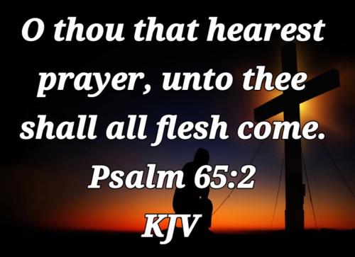 bfa62148-6e47-4b0c-8f9c-c9d50842910c