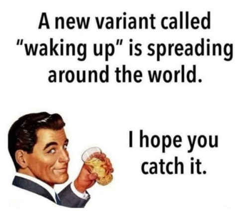 image_881CE7FC-BF59-481D-B7C5-03408B03A62A