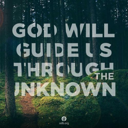 ba2224519c08ce1b0b2171b49e58f9ce