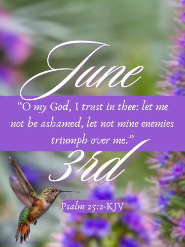 503099469_726113883256294_6424420039749443775_n