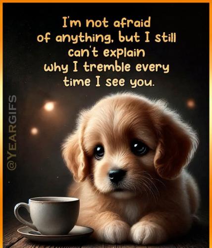 FB_IMG_1749568299521_resized